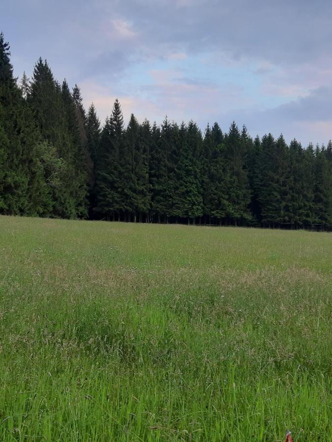 Ferienwohnung "Voelkl" Tännesberg Exteriér fotografie